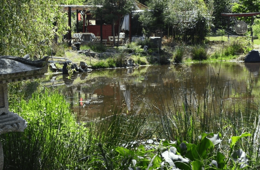 jardinartbotanic11-1920×960